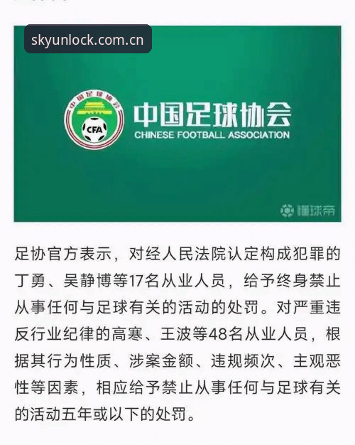 云开全站安卓版 中国足协第三批禁足名单全面解析:行业乱象与体育精神的深度反思